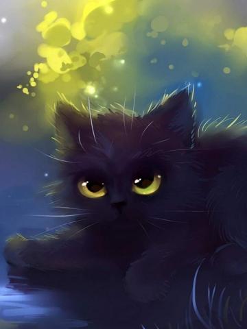 Cat Wallpaper Top Background