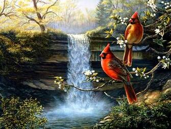 Cardinals Birds Heritage Wallpaper HD