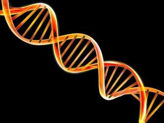 Aronberg Personal Injury Law Firm Dna Ruling By Supreme