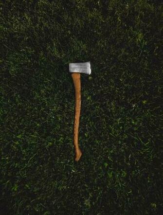 Woodsy Wallpaper Posted By Ryan Sellers