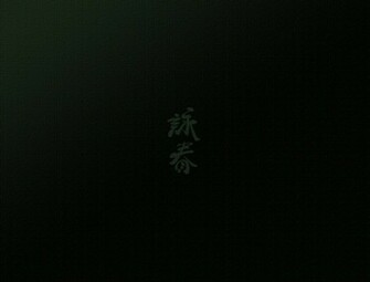 Wing Chun Wallpaper By Psihunter00