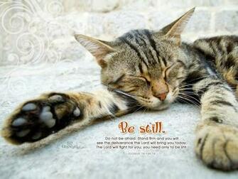 Be Still Wallpaper Christian Animals