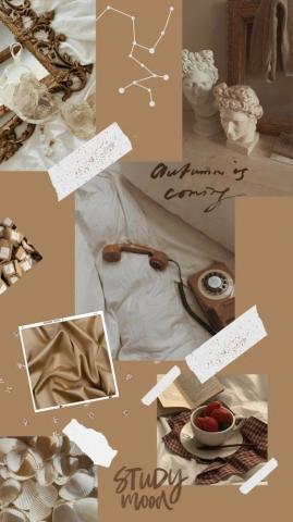 Aesthetic Vintage Wallpaper iPhone