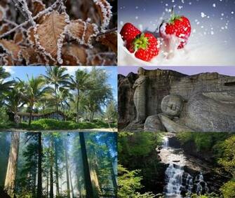 Mit Thakkar E Books Wallpaper Packs