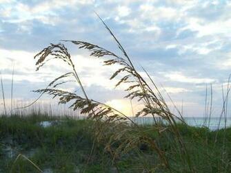Longboat Key Sarasota Florida Wallpaper
