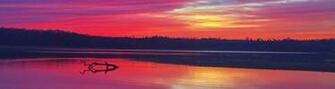 Home Ultra HD Wallpaper Light In Or Right Click The