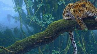 Jaguar Animal Wallpaper Desktop HD Background Photo