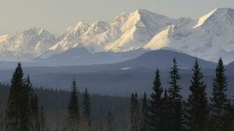 Mountains Trees Forest Snow Taiga Scenic Nature HD