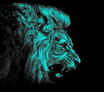 Lion HD Wallpaper Background Image
