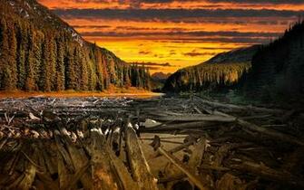 HD Photo Of Neverland Wallpaper By Ivanandreevich