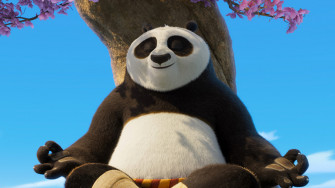 Po Kung Fu Panda 4k Wallpaper