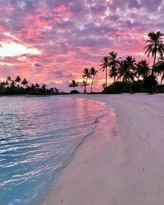 Tropical Beach Wallpaper Throughout
