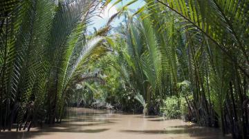 Mekong 4k Wallpaper For Your Desktop Or Mobile Screen And