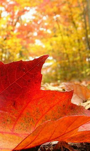 HD Wallpaper Nokia For Lumia Full Widescreen Desktop