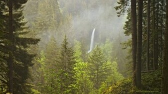 HD Wallpaper Silver Falls State Park Oregon Ed Cooley Fine Art