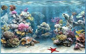 Live Screensavers Widescreen HD Wallpaper