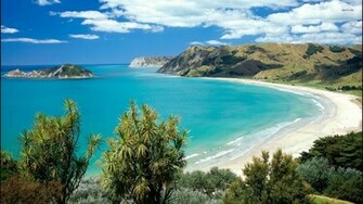 Beach In New Zealand Wallpaper