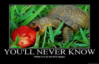 Wallpaper Photo Demotivational Html
