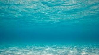 Under Water Wallpaper