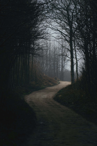 Dark Nature Wallpaper