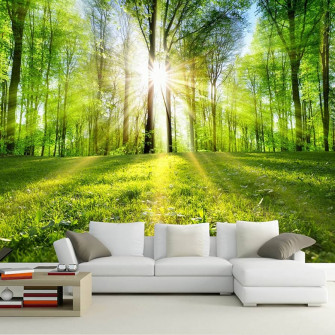 Amazon Modern Retro Abstract Art Forest Sunshine Nature