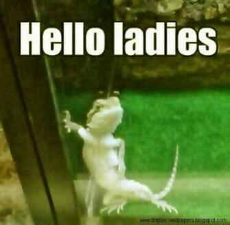 Funny Stupid Pictures And Sharing These Really Very