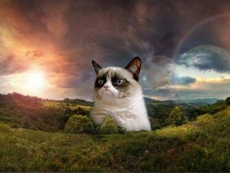 Grumpy Cat Wallpaper To Your Cell Phone Rises