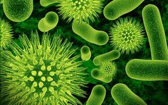 Bacteria Nanoschematic Wallpaper Pictures In High Definition