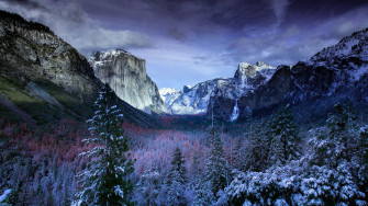Winter Trees Mountains 5k HD 4k Wallpaper Image