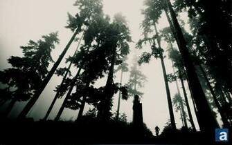 Journal Wallpaper Wednesday Whistler Woods Mountain Biking