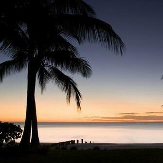 Palm Tree Sunset Wallpaper