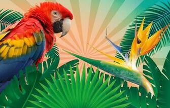 Wallpaper Leaves Branches Tropics Rendering Background Bird