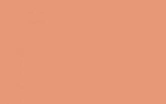 Salmon Solid Color Background And The Below