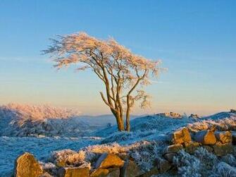 Cheryl Kuhl Schadt On Naturescapes