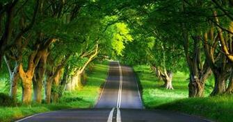 Wallpaper High Quality Nature By Mameara April