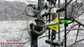 Bow Hunting Wallpaper Bowhunting Background Deer