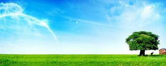 As Your Google Skin Use This Wallpaper A Background On
