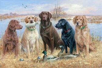 Labrador Retriever Dogs Chat Forum Board Puppies Photos