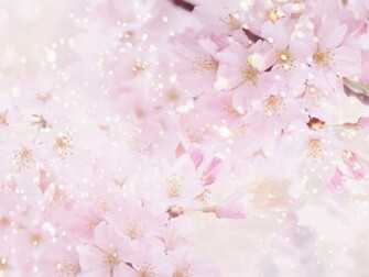 Beautiful Flowers Background Wallpaper