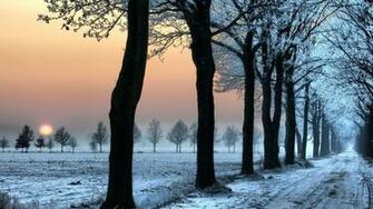 The Winter Will Be Warm Wallpaper