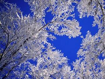 Desktop Wallpaper Winter Scenes