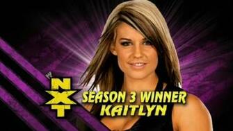 Kaitlyn Wwe Diva Wallpaper Image22