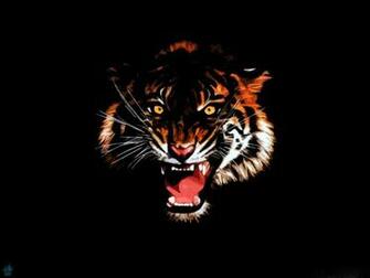 Tiger Wallpaper 3d Tag Amazing Wallpaperz