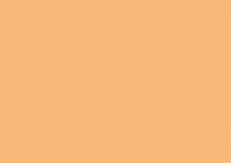 Mellow Apricot Solid Color Background