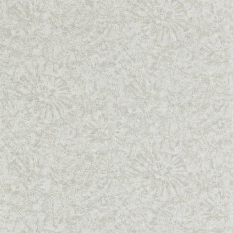 Eanw112560 Zoom Wallpaper