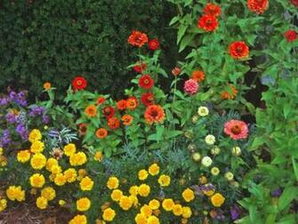 Summer Flowers Wallpaper Copyright Robin Wood