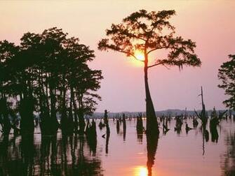 Bayou Sunset Wallpaper At Wallpaperbro