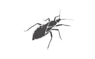 Revealing The Neglect Chagas Disease Dndi
