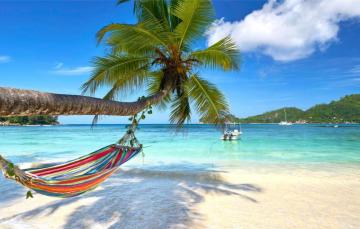 Wallpaper Sand Sea Beach The Sun Palm Trees Shore Hammock