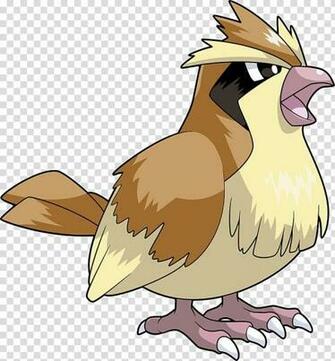 Pok Mon X And Y Pikachu Pidgeotto Go Pidgey Transparent